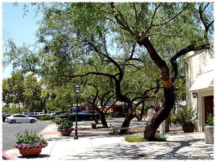 Homewood Suites Tucson St. Philip'S Plaza University מראה חיצוני תמונה