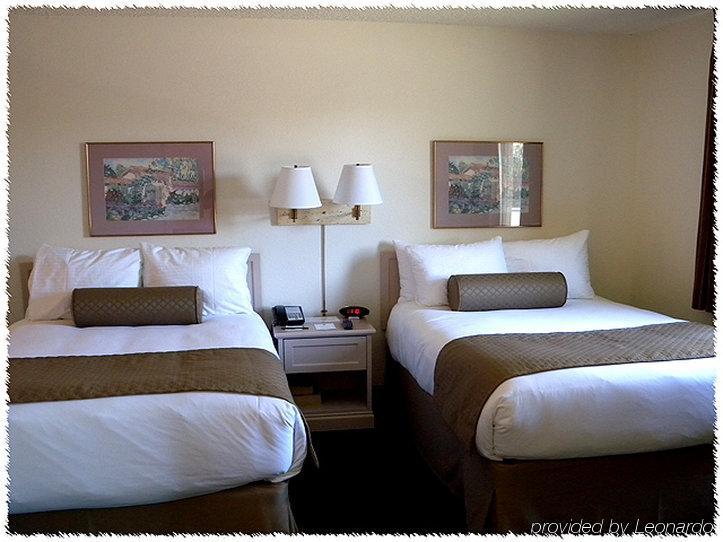 Homewood Suites Tucson St. Philip'S Plaza University מראה חיצוני תמונה